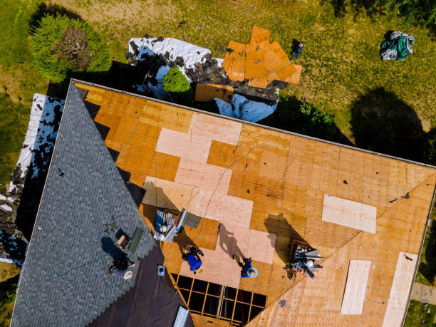 Best Roof Maintenance Services  in Reidsville, GA