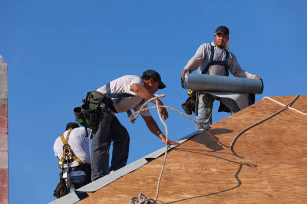 Best Roof Gutter Cleaning  in Reidsville, GA