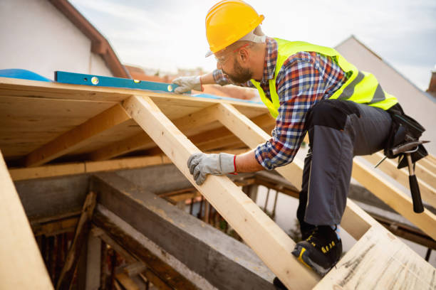 Best Roof Inspection Near Me  in Reidsville, GA