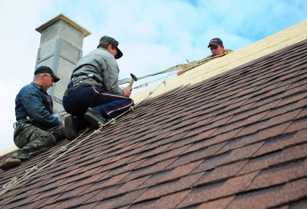 Professional Roofing Contractor in Reidsville, GA